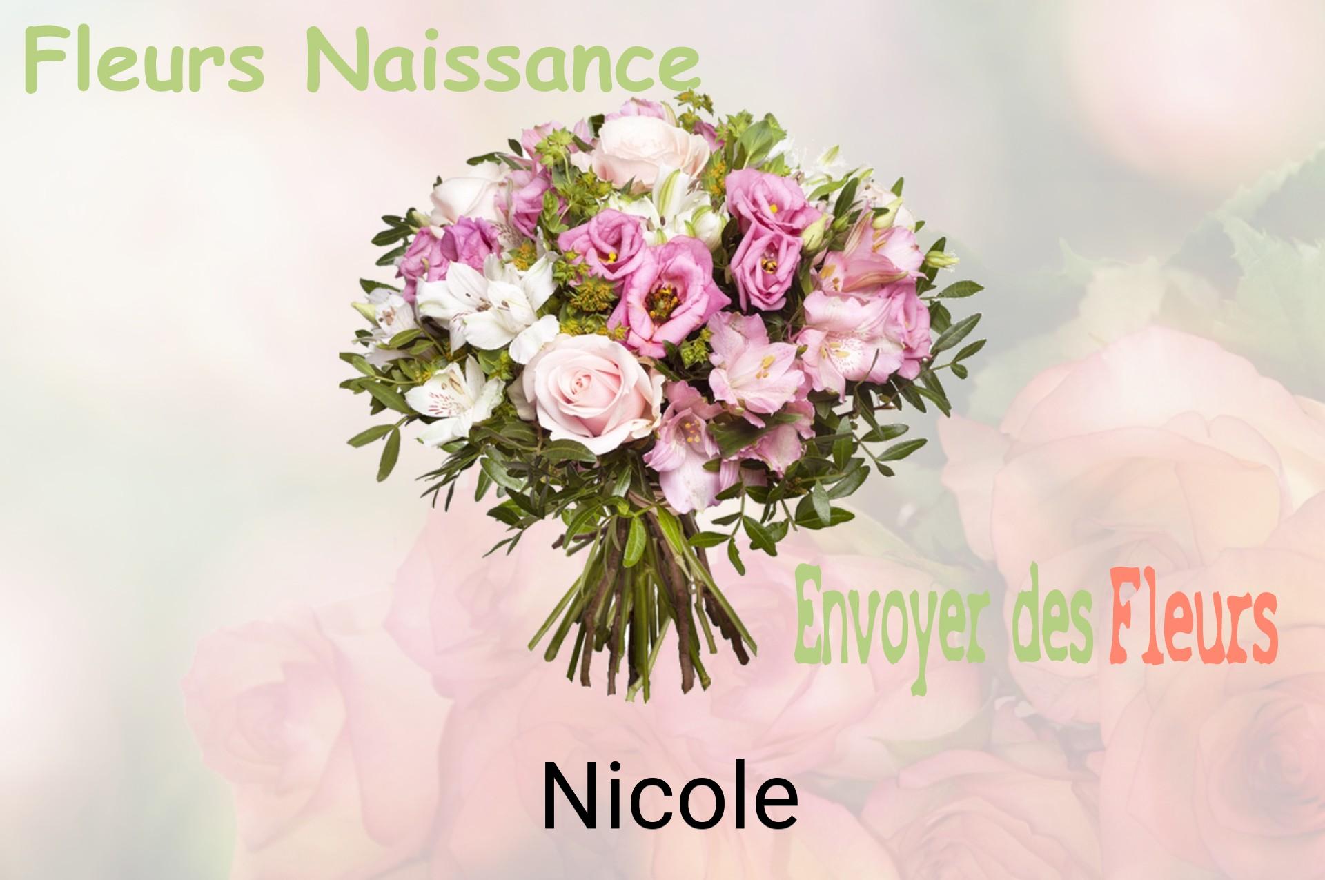 Bouquet de fleurs de naissance livré à Nicole